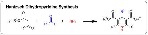 Hantzsch Dihydropyridine Synthesis