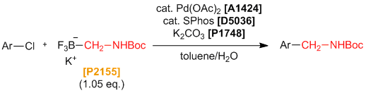 Introduction of N-Boc-aminomethyl Groups using P2154