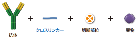 クロスリンカーを用いた抗体-薬物複合体(ADC)