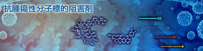 抗腫瘍性分子標的阻害剤