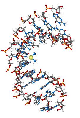 Cisplatin Binding to DNA