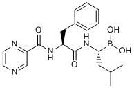 Bortezomib