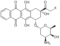 X=H: Daunorubicin, X=OH: Doxorubicin