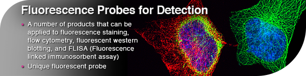 Fluorescence Probes for Detection