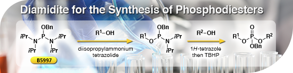 Diamidite for the Synthesis of Phosphodiesters