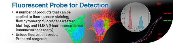 Fluorescent Probe for Detection