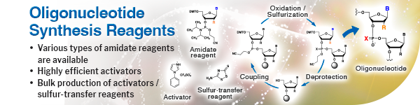 Oligonucleotide Synthesis Reagents