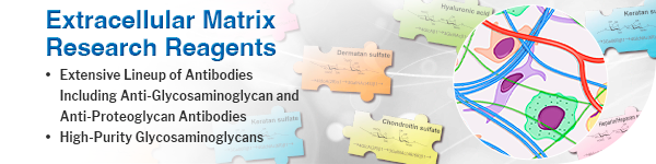 Extracellular Matrix Research Reagents