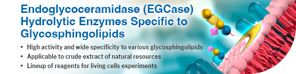 Endoglycoceramidase ― Hydrolytic Enzymes Specific to Glycosphingolipids