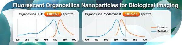 Fluorescent Organosilica Nanoparticles for Biological Imaging