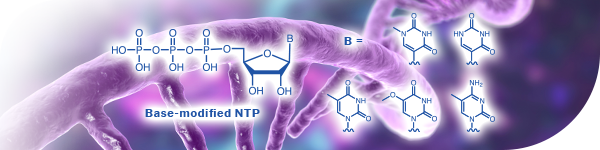 Base-modified Ribonucleoside Triphosphates for mRNA Drug Discovery