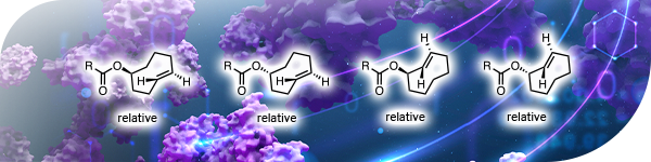 TCO (trans-cyclooctene) Derivatives: The Fastest Click Reaction Reagents