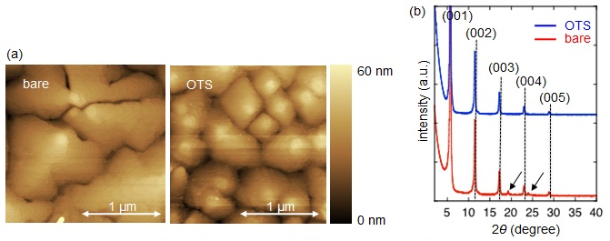 Figure3. AFM images(a) and XRD analysis(b) of pentacene filims