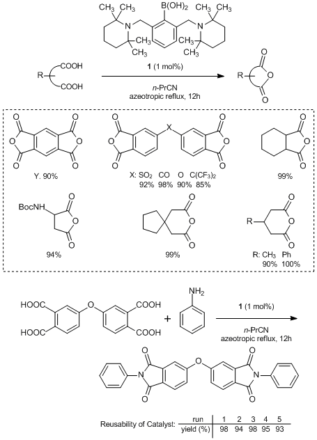 Dehydrative Intramolecular Condensation Catalyst for the Synthesis of Carboxylic Anhydrides