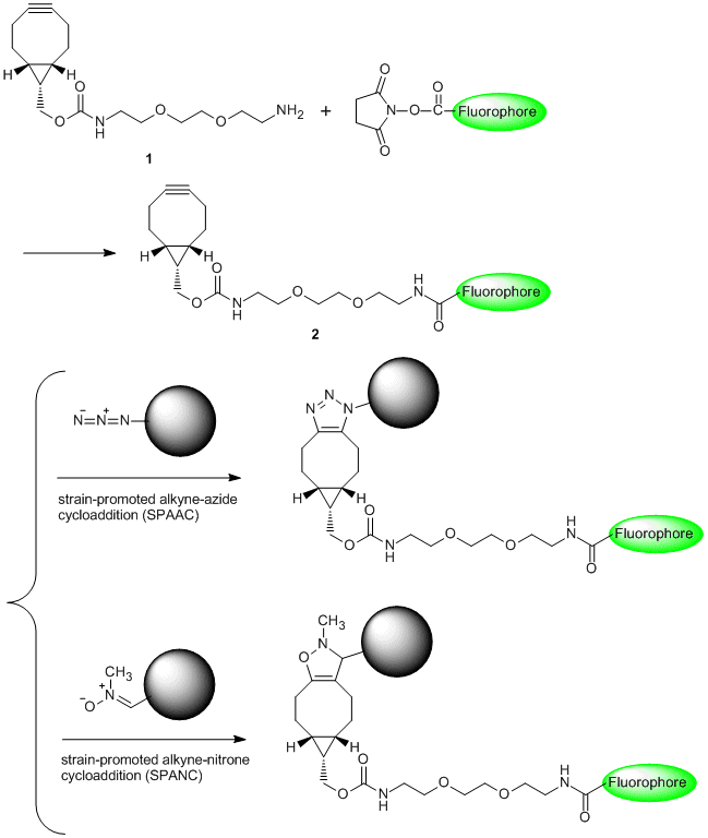 B4062