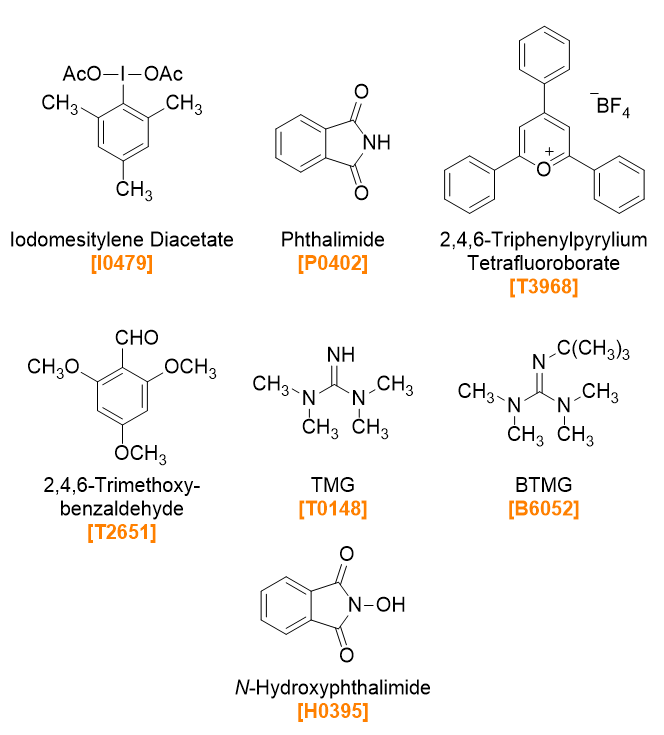 Activators and Bases