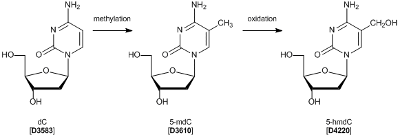 D4220