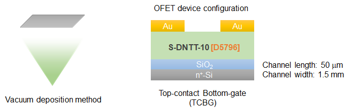 Figure5. OFET device fabrication method and device configuration