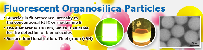 Fluorescent Organosilica Nanoparticles