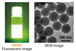 Fluorescent image and SEM image of Fluorescent Organosilica Particle