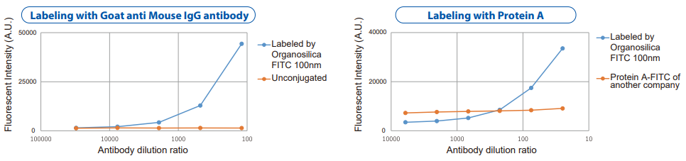 Analyses of Fluorescent Organosilica Particle-labeled antibody