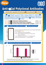 Anti-αGal Polyclonal Antibodies