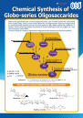Chemical Synthesis of Globo-series Oligosaccarides