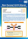 Non-fucosyl G2 N-Glycan Expected as a High-functional Glycoform for Therapeutic Antibody