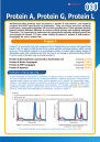 Protein A, Protein G, Protein L