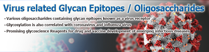 Virus-related Glycan Epitopes (Virus-related Oligosaccharides)