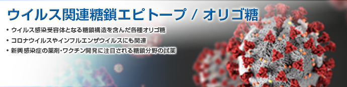 ウイルス関連糖鎖エピトープ・オリゴ糖
