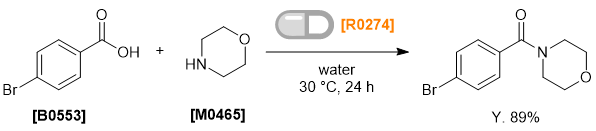 Condensation Reaction with R0274