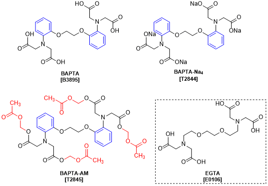 Highly Selective Rapid Calcium Chelators | Tokyo Chemical Industry Co ...