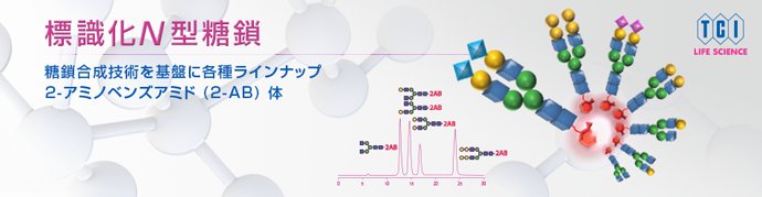 化学合成技術を基盤としたN型糖鎖・標識化N型糖鎖