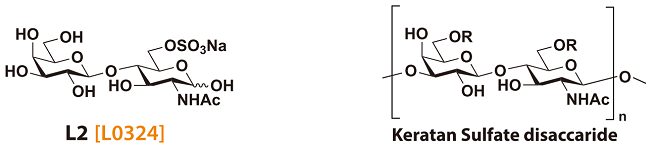 L0324とケラタン硫酸二糖構造