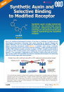 Synthetic Auxin Binding Specifically to Modified Receptor