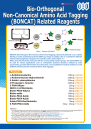 Bio-Orthogonal Non-Canonical Amino Acid Tagging (BONCAT) Related Reagents