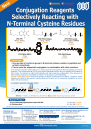 Conjugation Reagents Selectively Reacting with N-Terminal Cysteine Residues