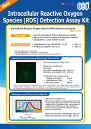 Intracellular Reactive Oxygen Species (ROS) Detection Assay Kit