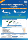 Tyramide Signal Amplification (TSA) Reagents