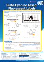 Sulfo-Cyanine Based Fluorescent Labels