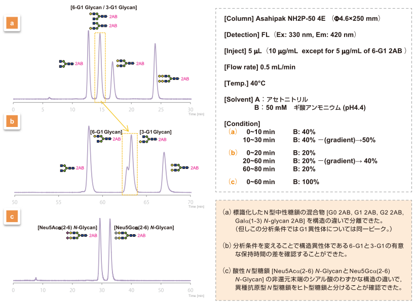 HPLCによる標識化N型糖鎖の分離