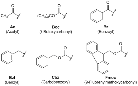 Bảng amino acids chart cần biết khi đang học về chất đạm