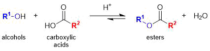 Fischer esterification reaction