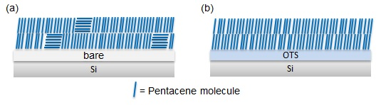 Figure 4. Orientation images of pentacene thin film form