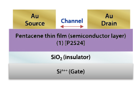 Figure 1. OFET device configuration