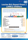 Leucine-Rich Repeat Kinase 2 (LRRK2) Inhibitors