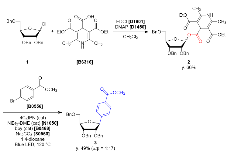 TCI Practical Example: The Synthesis of the <i>C</i>-Aryl Glycoside through the Cross-Coupling of the Glycosyl Dihydoropyridine (DHP) Ester Precursor