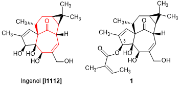 I1112