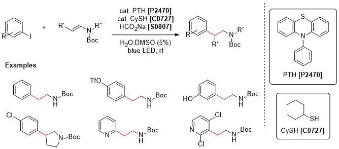 X0080,O0518